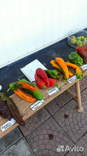 Перец палермо семена