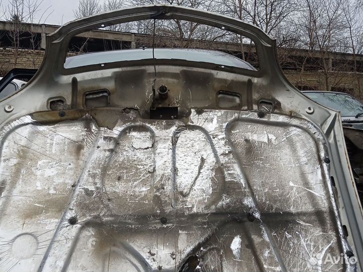 Капот и багажник на Волгу 31105