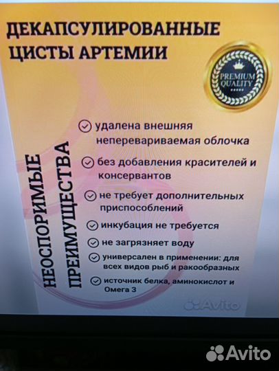 Декапсулированные цисты Артемии 500 г