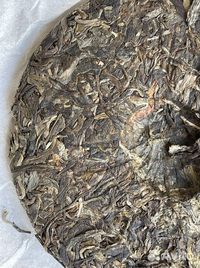 Шен Пуэр одиночное дерево, 600 лет