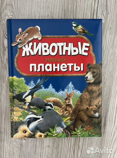 Животные нашей планеты