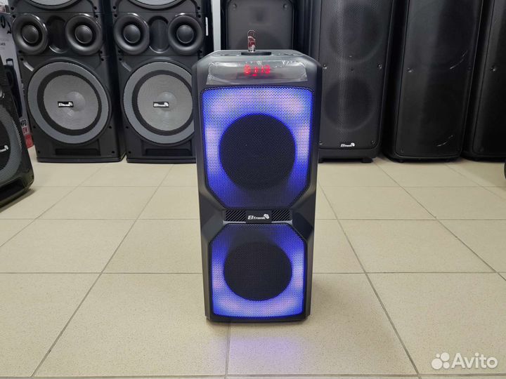 Колонка Eltronic 20-54