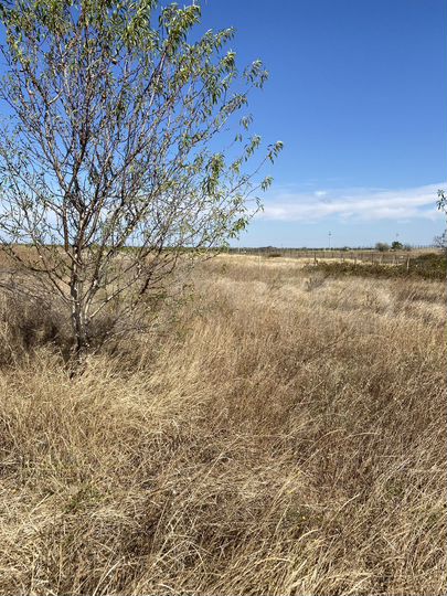 Участок 5,1 сот. (СНТ, ДНП)