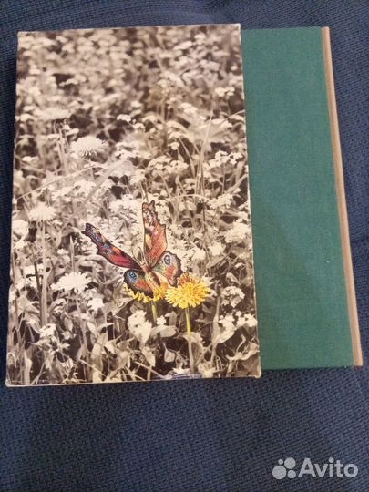 Книга 