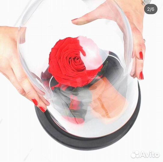 Роза в колбе. Любые размеры