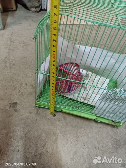 Клетка для грызунов бу