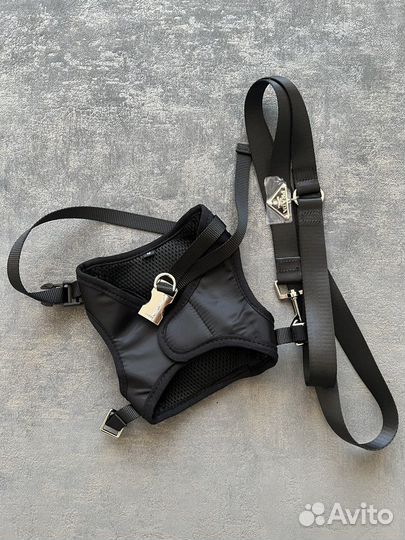 Шлейка для собаки prada