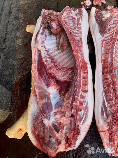 Мясо, свинина домашняя