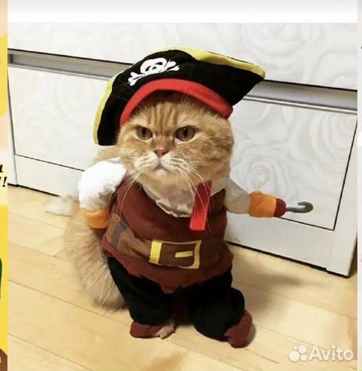 Костюм для животных