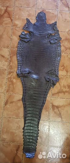 Шкурка крокодила, животик