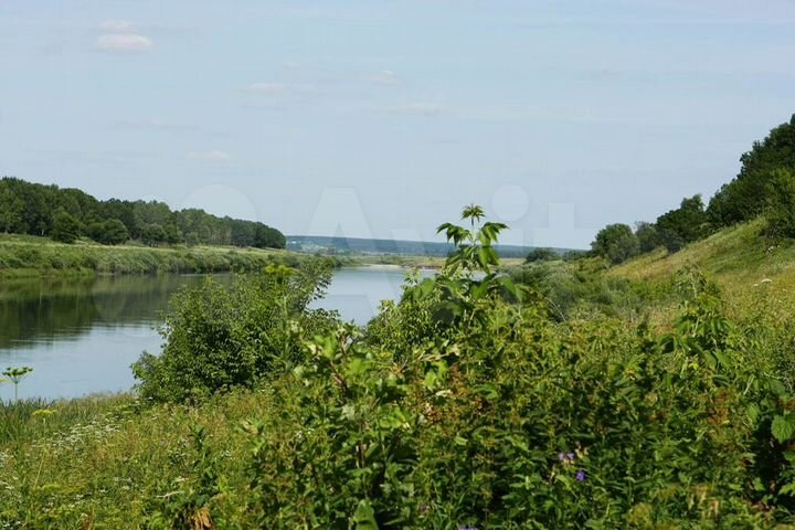 Участок 538 га (ИЖС)