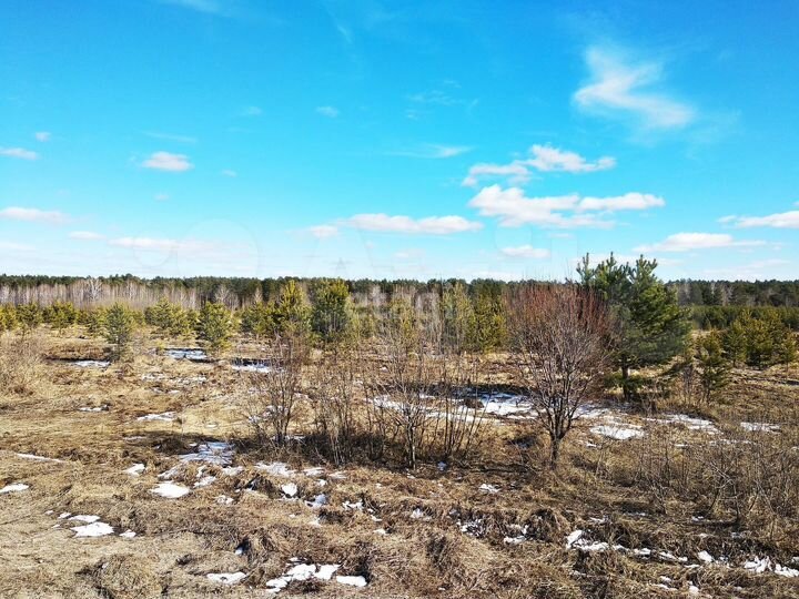 Участок 8,1 сот. (СНТ, ДНП)