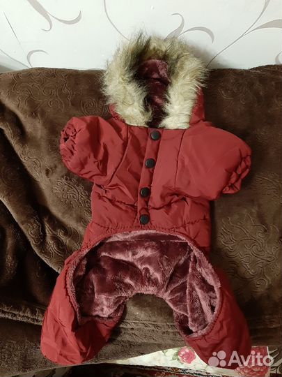 Комбинезон для средней породы собаки