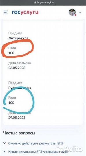 Репетитор по русскому языку, литературе егэ, огэ