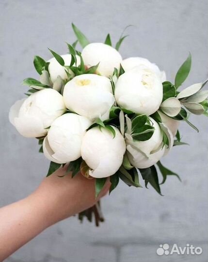 Пионы Букет пионов Доставка цветов