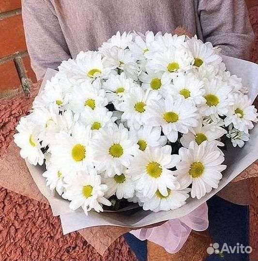 Хризантема. Букеты Цветы доставка