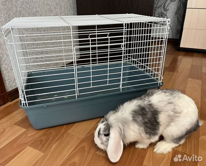 Клетка для животного
