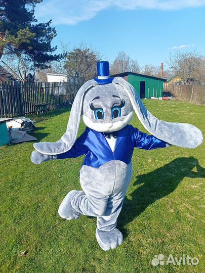 Зайка на праздник