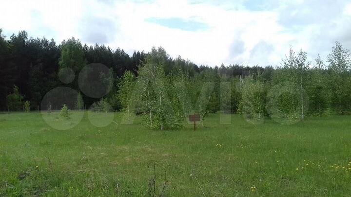 Участок 11,6 сот. (ИЖС)