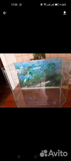 Аквариум