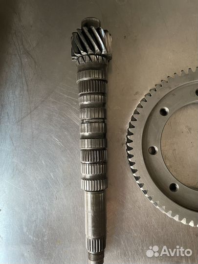 Главная пара 4.3 гранта спорт