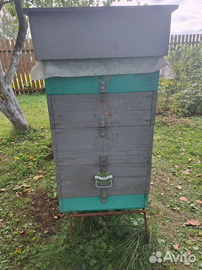 Альпийский улей