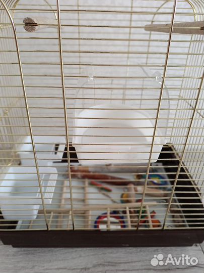 Клетка для попугая