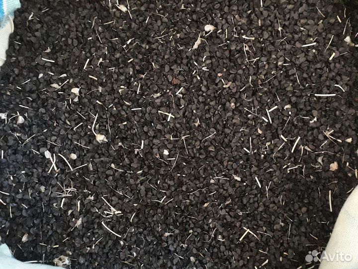 Семена лука батун