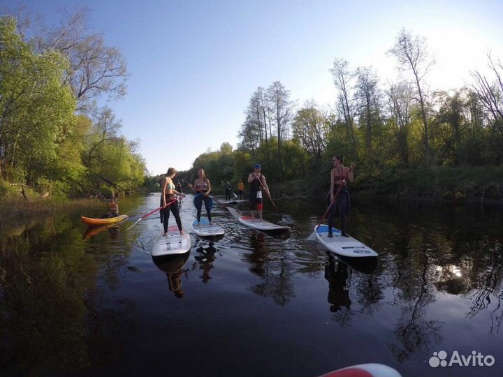 Сап - борд серф - аренда (прокат) доски