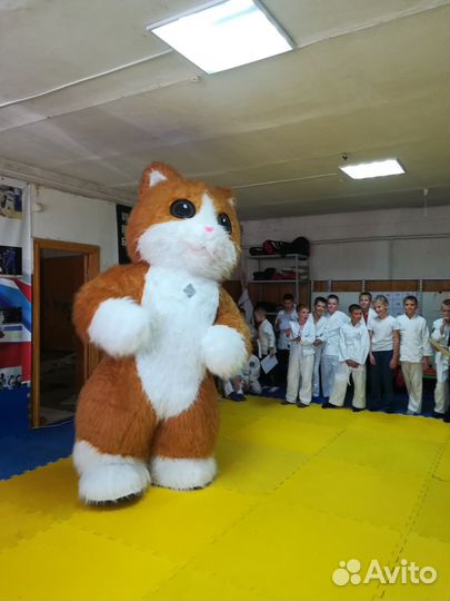 Аниматоры/Ростовые куклы/Аэрокуклы/Панда Зайка Кот