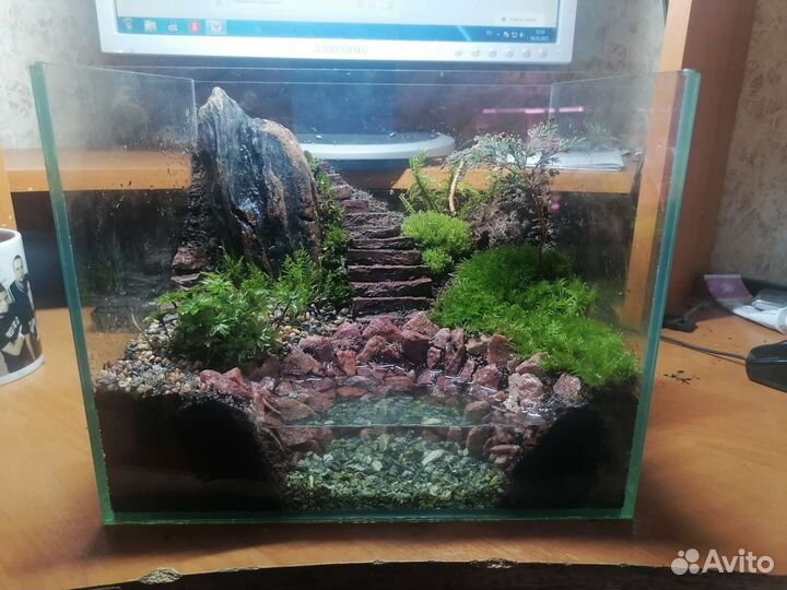 Палюдариум/Флорариум/Мохариум