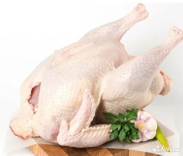 Мясо домашней индейки
