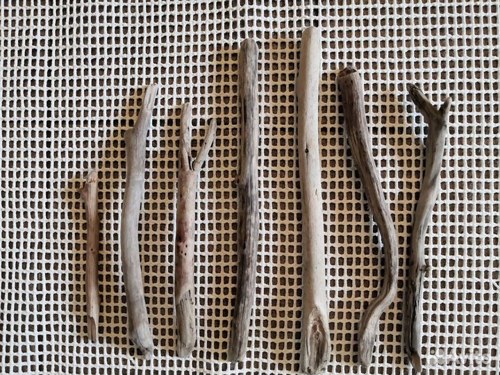 Палки ветки морские дрифтвуд набор