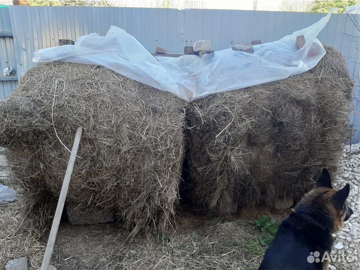 Сено в рулонах 350 кг