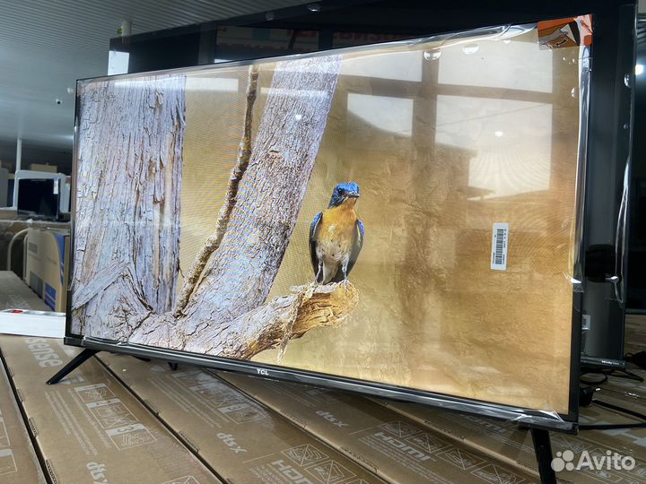 Smart TV32 TCL 81см