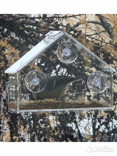 Кормушка для птиц на присосках