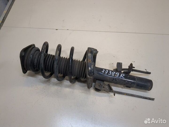 Амортизатор подвески Ford Focus 3, 2014