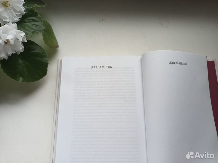 Е. Мурашова 