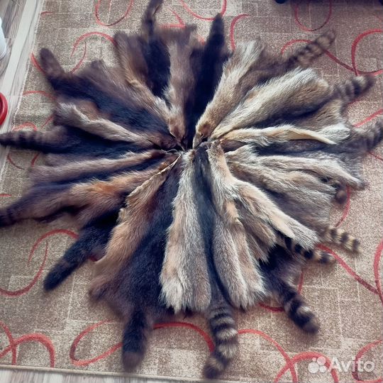 Шкурки енота