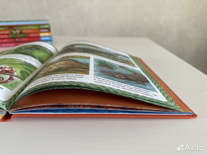 Книги твоя первая энциклопедия