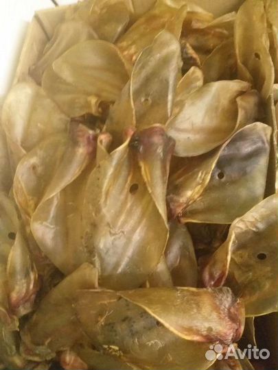 Рога, лакомства для собак