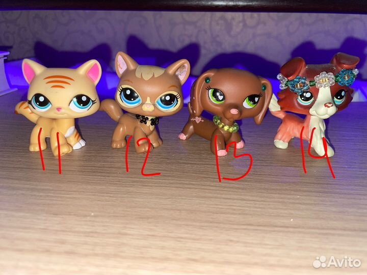 Littlest Pet Shop