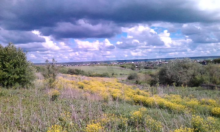Участок 16 сот. (СНТ, ДНП)