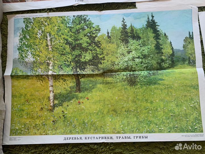 4 советских плаката с пейзажами