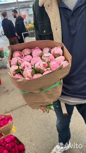 Живые цветы оптом