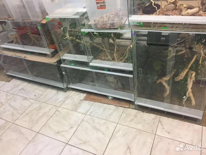 Террариум для рептилий