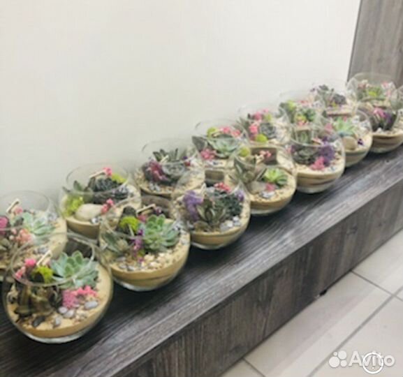 Флорариум корпоративные подарки