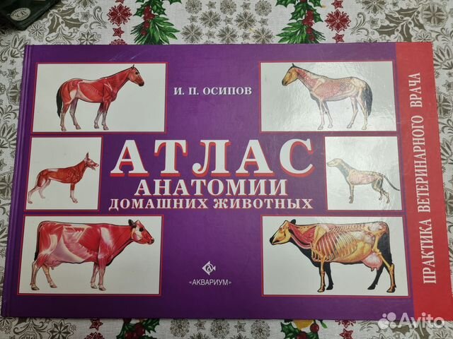 Новый атлас по анатомии домашних животных. Для студентов... купить в ...