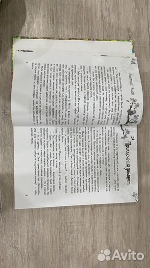 Книга «Приключения домовят»