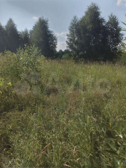 Участок 50 сот. (ИЖС)